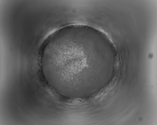 X0000102511255200808221809