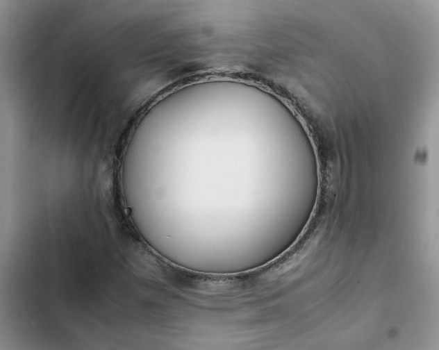 X0000102511257200808221809