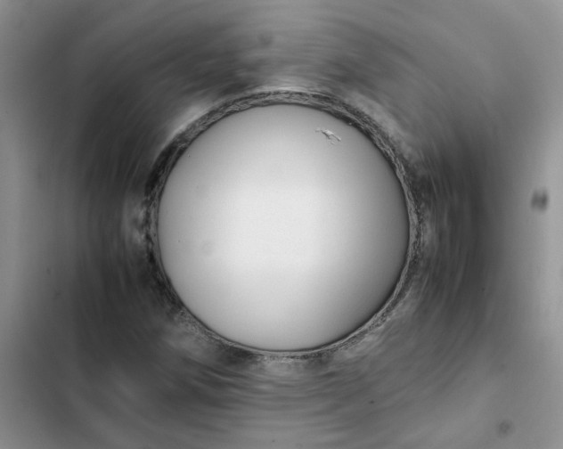 X0000102511258200808221809