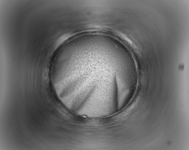X0000102511259200808221809