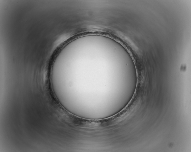 X0000102511261200808221809