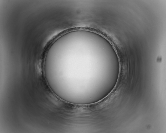 X0000102511262200808221809