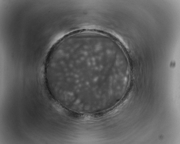 X0000102511263200808221809