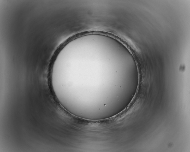 X0000102511264200808221809