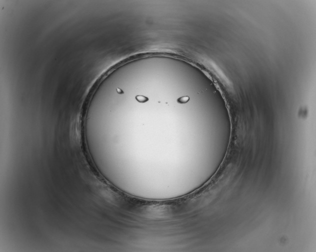 X0000102511268200808221809