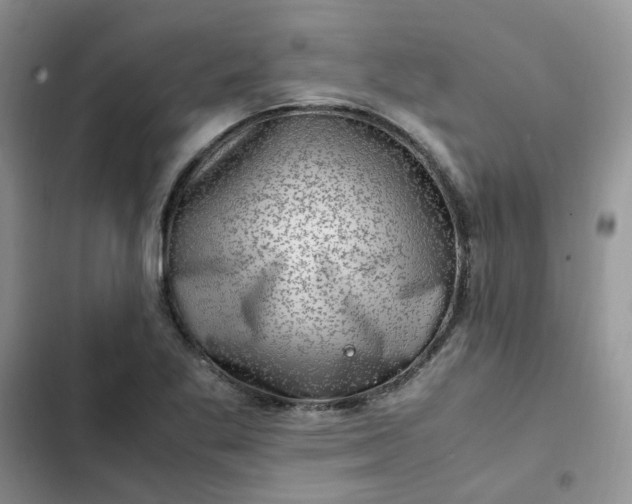 X0000102511269200808221809