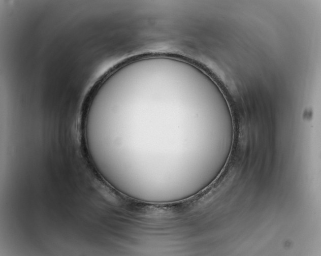 X0000102511270200808221809