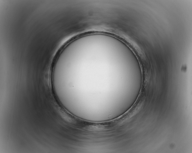 X0000102511272200808221809