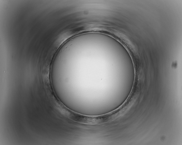 X0000102511273200808221809