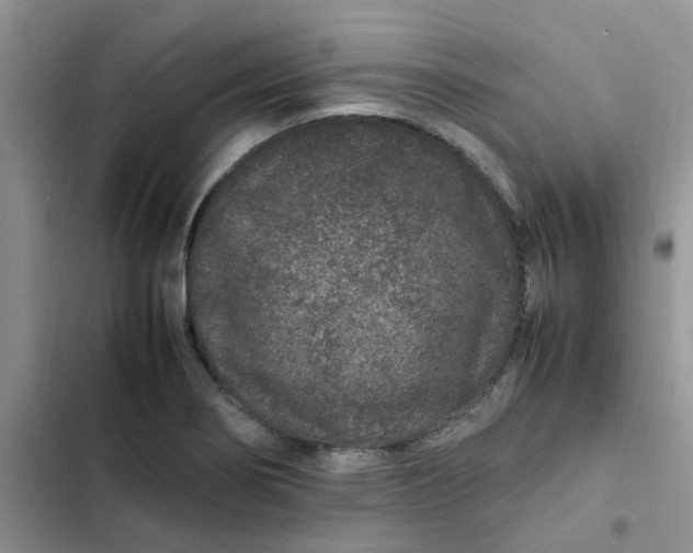 X0000102511274200808221809