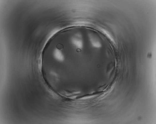 X0000102511275200808221809