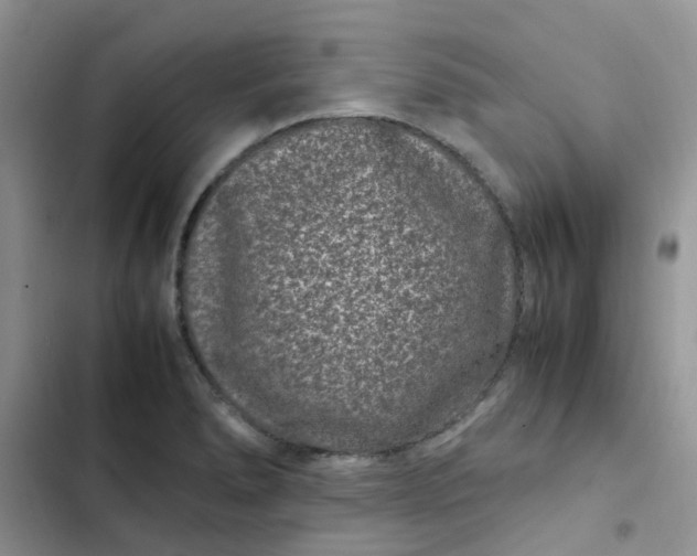 X0000102511278200808221809
