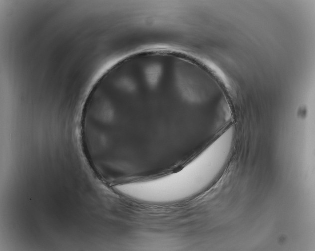X0000102511279200808221809
