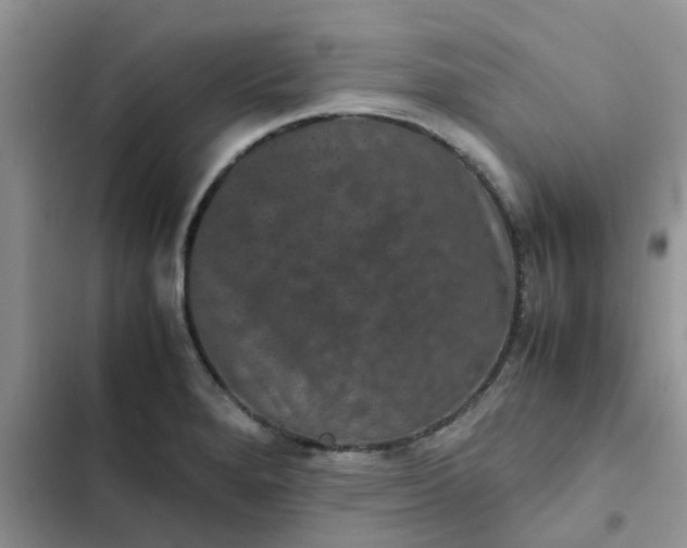 X0000102511280200808221809