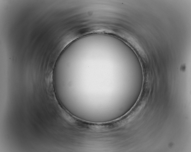 X0000102511281200808221809