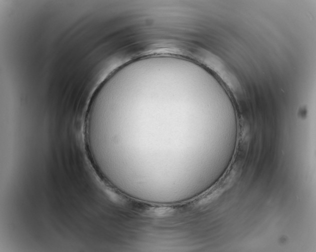 X0000102511282200808221809