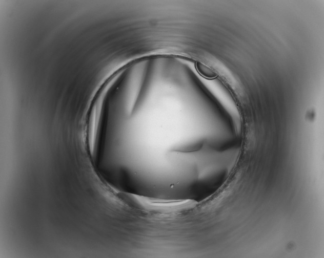X0000102511284200808221809
