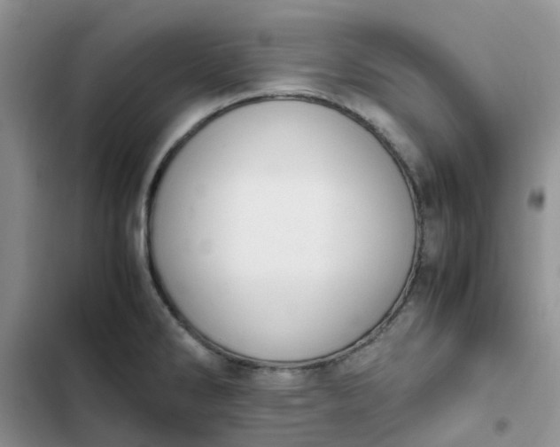 X0000102511286200808221809