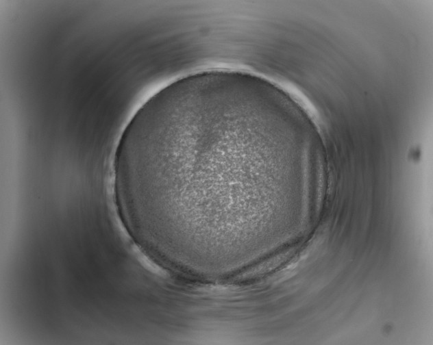 X0000102511287200808221809