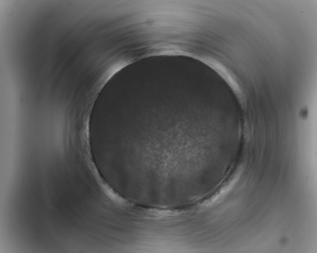X0000102511289200808221809