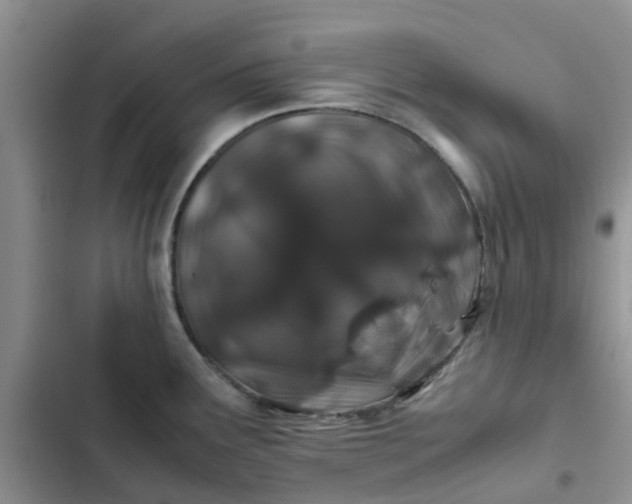X0000102511291200808221809