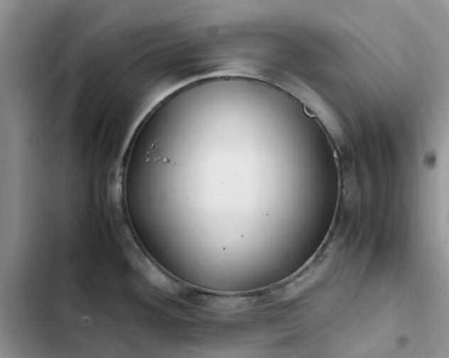 X0000102511292200808221809