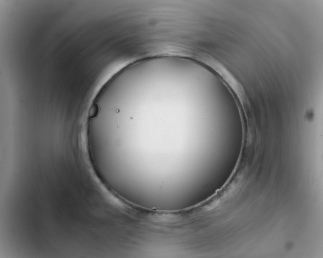 X0000102511293200808221809