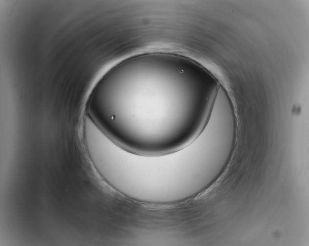 X0000102511296200808221809