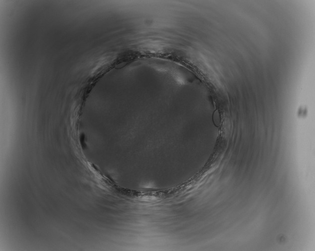 X0000102511297200808221808