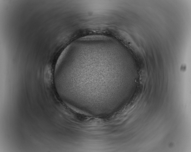 X0000102511298200808221808