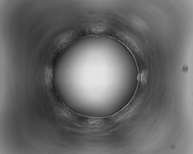 X0000102511299200808221808