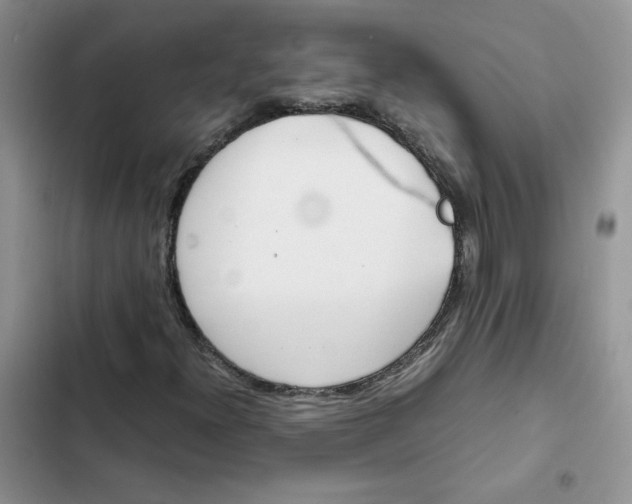 X0000102511300200808221808
