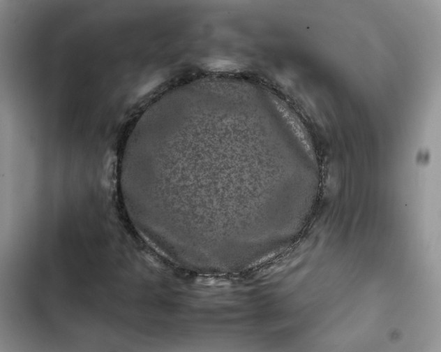 X0000102511301200808221808