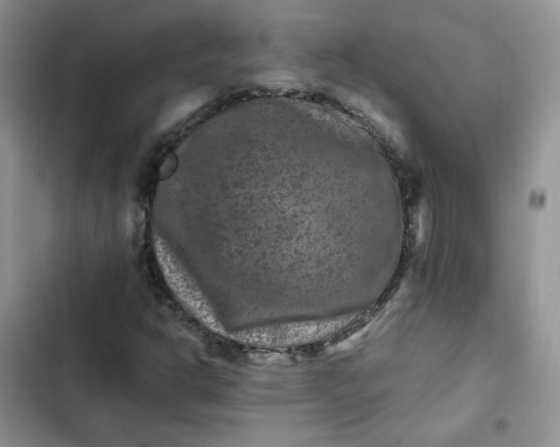 X0000102511302200808221808