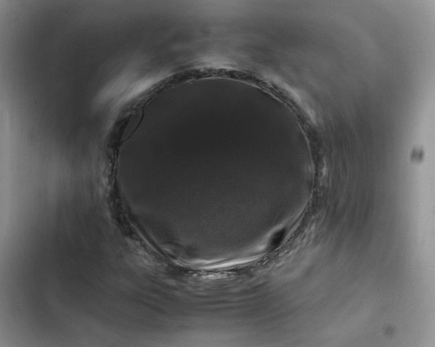 X0000102511303200808221808