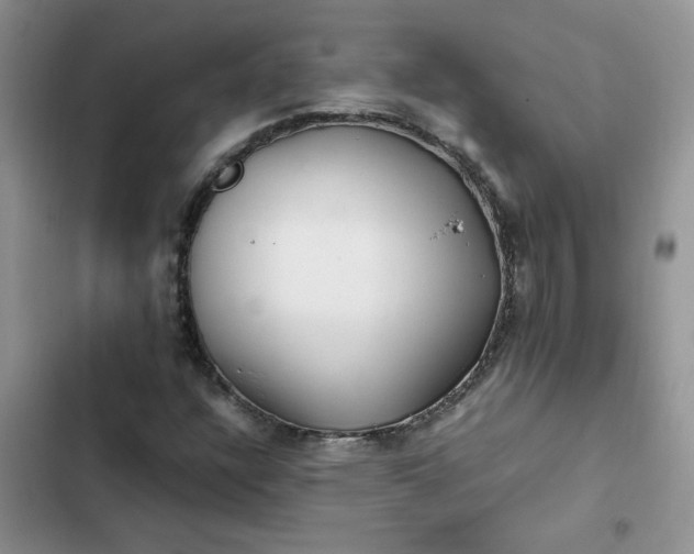 X0000102511304200808221808