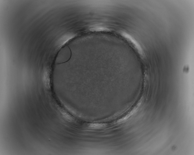 X0000102511305200808221808