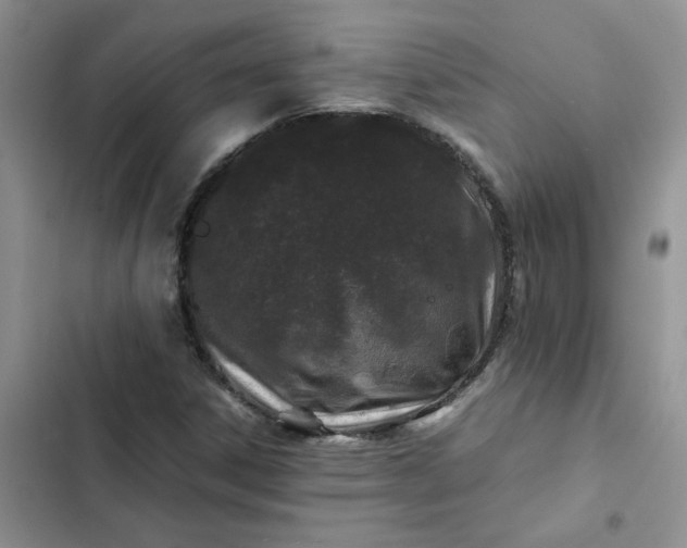 X0000102511306200808221808