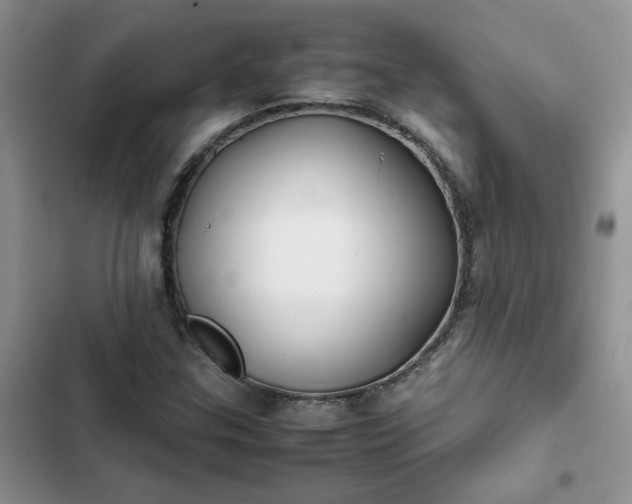 X0000102511307200808221808