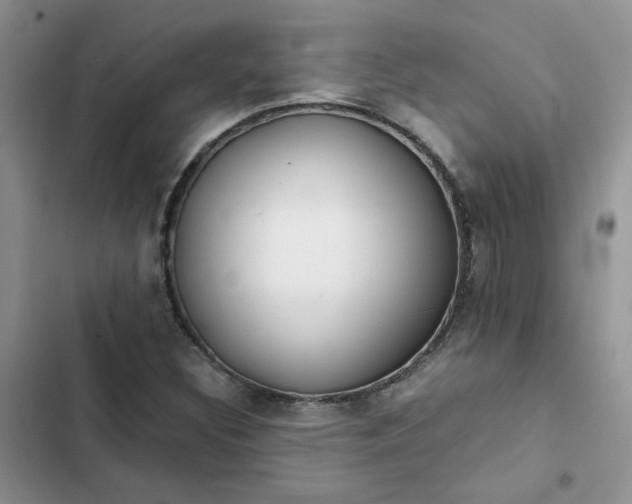 X0000102511308200808221808