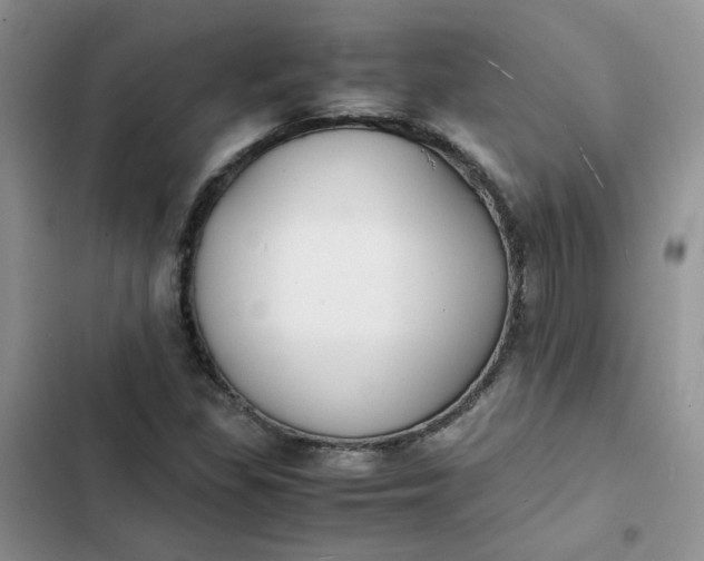 X0000102511309200808221808