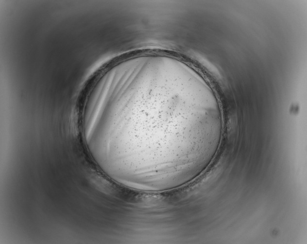 X0000102511310200808221808
