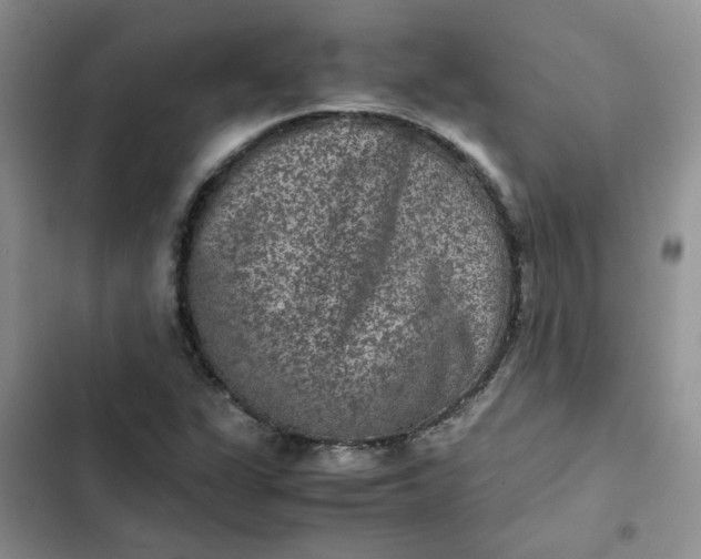X0000102511311200808221808