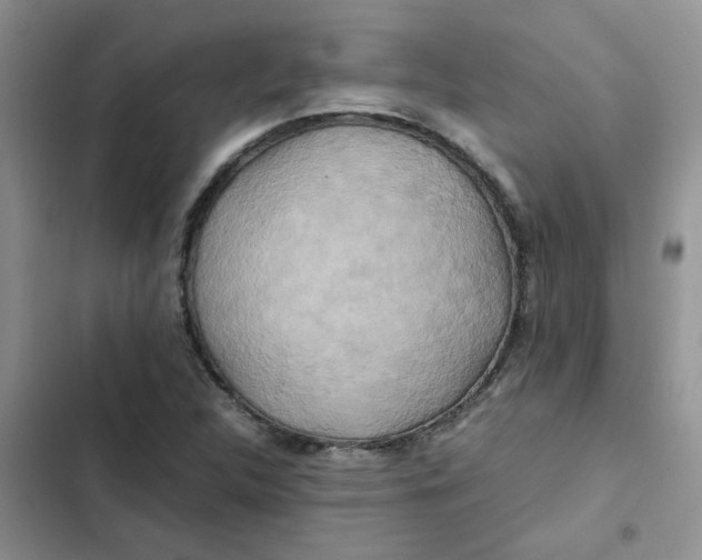 X0000102511312200808221808