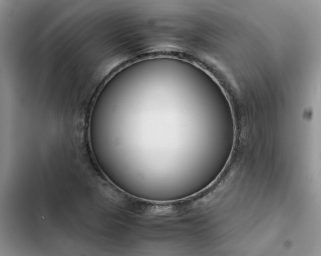 X0000102511313200808221808