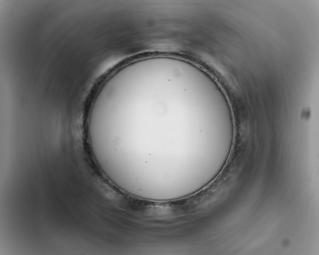 X0000102511315200808221808