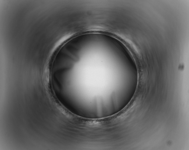 X0000102511317200808221808