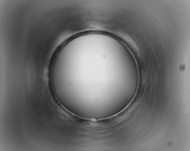 X0000102511318200808221808
