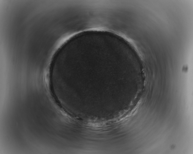 X0000102511319200808221808