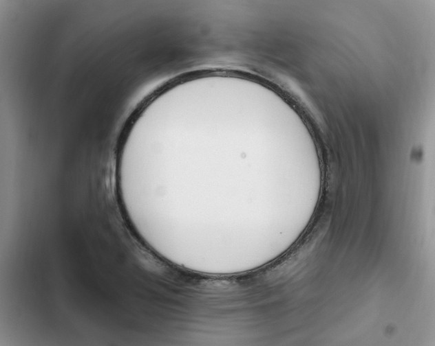 X0000102511320200808221808